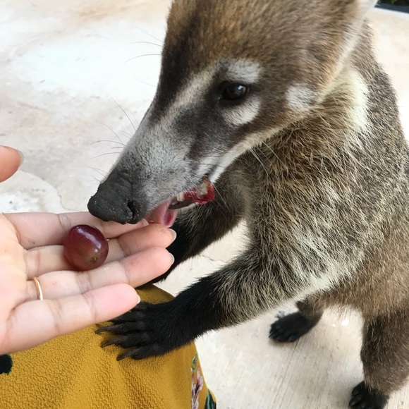 Meet your Posher, Estelle - Picture 8 of 13